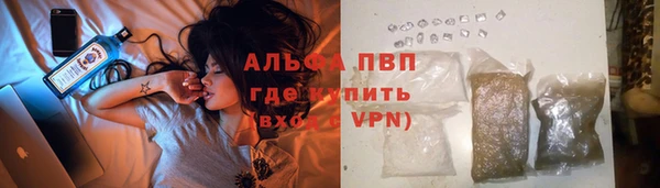 ПСИЛОЦИБИНОВЫЕ ГРИБЫ Беломорск