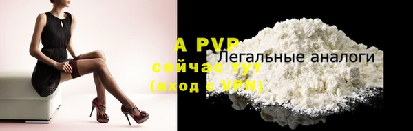 ПСИЛОЦИБИНОВЫЕ ГРИБЫ Беломорск