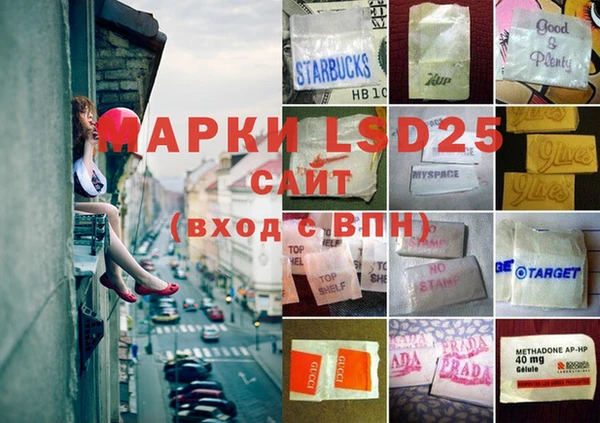 ПСИЛОЦИБИНОВЫЕ ГРИБЫ Беломорск