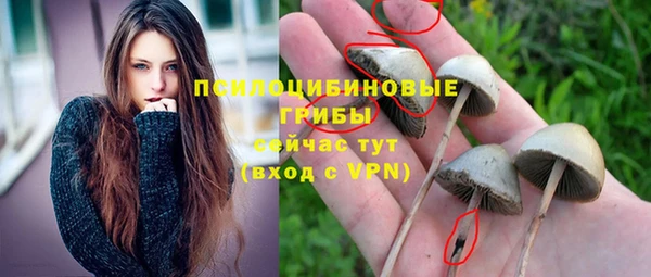ПСИЛОЦИБИНОВЫЕ ГРИБЫ Беломорск