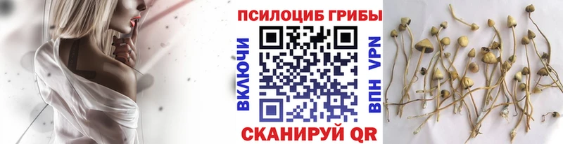 Галлюциногенные грибы мицелий Курильск